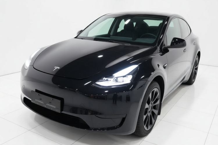 Tesla Model Y 2023 Rear-Wheel-Drive Version