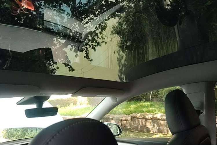Used Tesla Model Y 2023 Long-Range All-Wheel-Drive Version Headliner