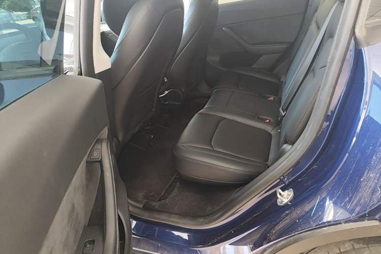 Used Tesla Model Y 2023 Rear-Wheel-Drive Version Left Rear Seat