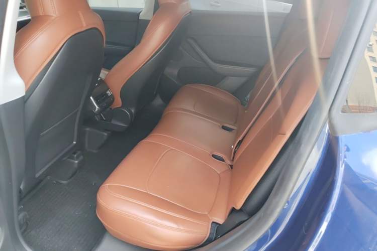Used Tesla Model Y 2023 Long-Range All-Wheel-Drive Version Left Rear Seat