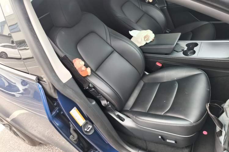 Used Tesla Model Y 2023 Rear-Wheel-Drive Version Right Front Seat