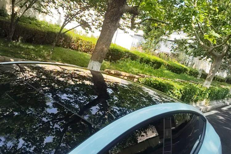 Used Tesla Model Y 2023 Long-Range All-Wheel-Drive Version Roof