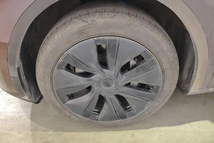 Used Tesla Model Y 2023 Rear-Wheel-Drive Version Exterior 4