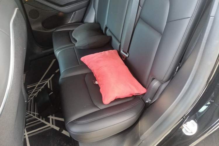 Used Tesla Model Y 2023 Long-Range All-Wheel-Drive Version Left Rear Seat