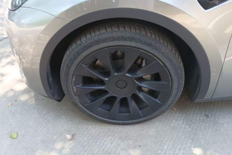 Used Tesla Model Y 2023 Rear-Wheel-Drive Version Exterior 4