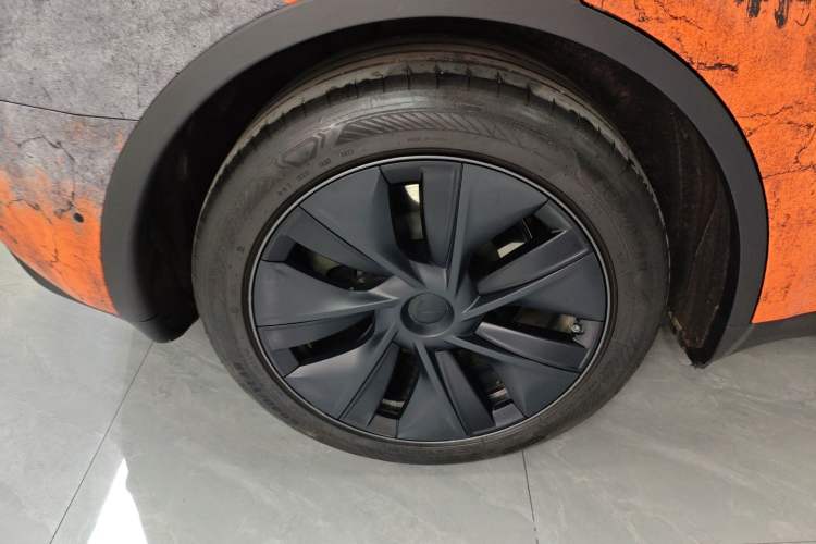 Used Tesla Model Y 2023 Rear-Wheel-Drive Version Exterior 4