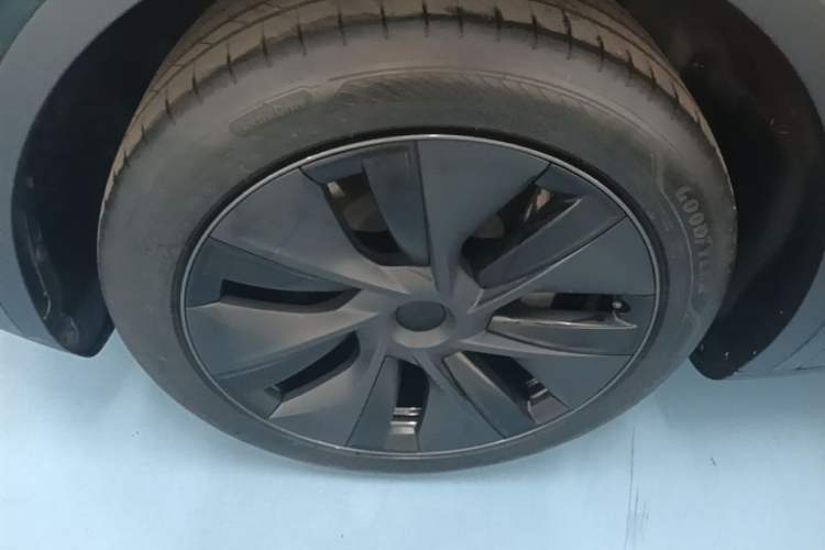 Used Tesla Model Y 2023 Rear-Wheel-Drive Version Exterior 4