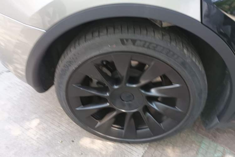 Used Tesla Model Y 2023 Rear-Wheel-Drive Version Exterior 5