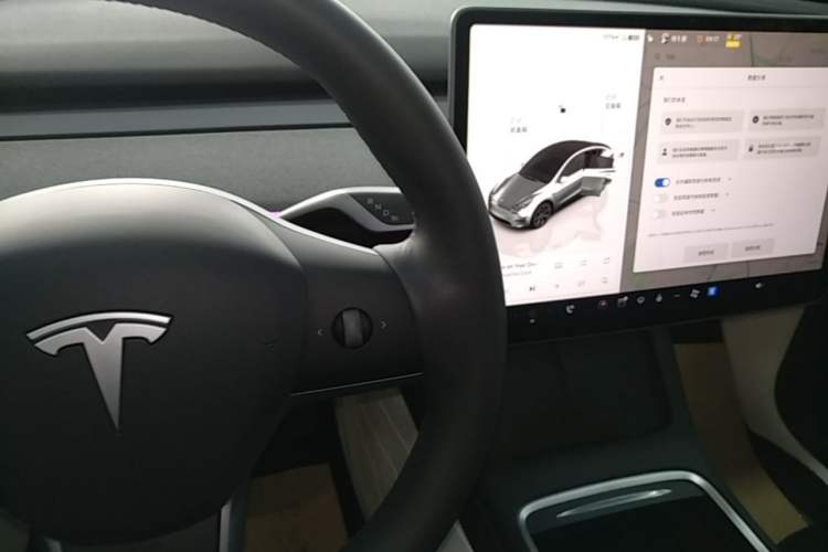 Used Tesla Model Y 2023 Rear-Wheel-Drive Version Gear Lever