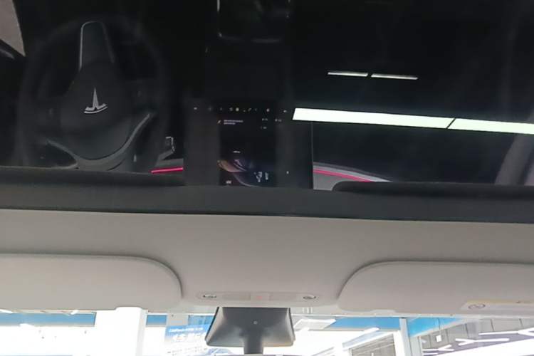 Used Tesla Model Y 2023 Rear-Wheel-Drive Version Headliner