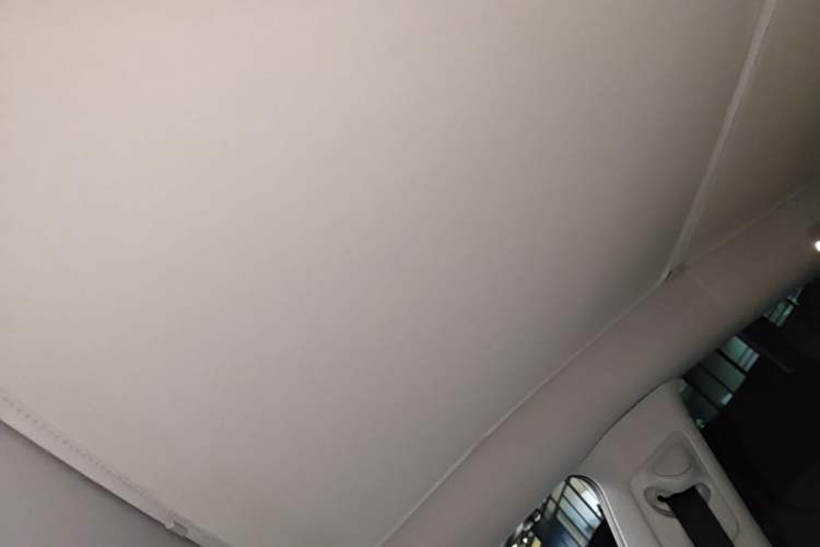 Used Tesla Model Y 2023 High-Performance All-Wheel-Drive Version Headliner
