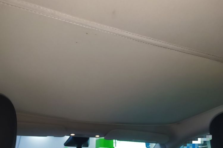 Used Tesla Model Y 2023 Rear-Wheel-Drive Version Headliner