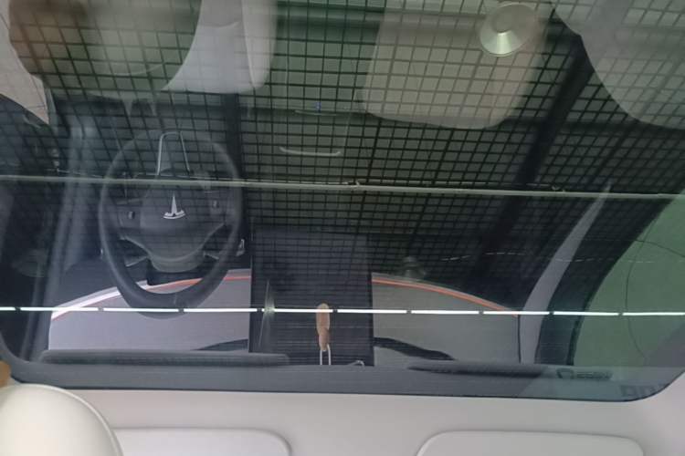 Used Tesla Model Y 2023 Long-Range All-Wheel-Drive Version Headliner