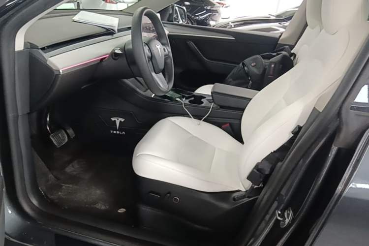 Used Tesla Model Y 2023 Rear-Wheel-Drive Version Left Front Seat