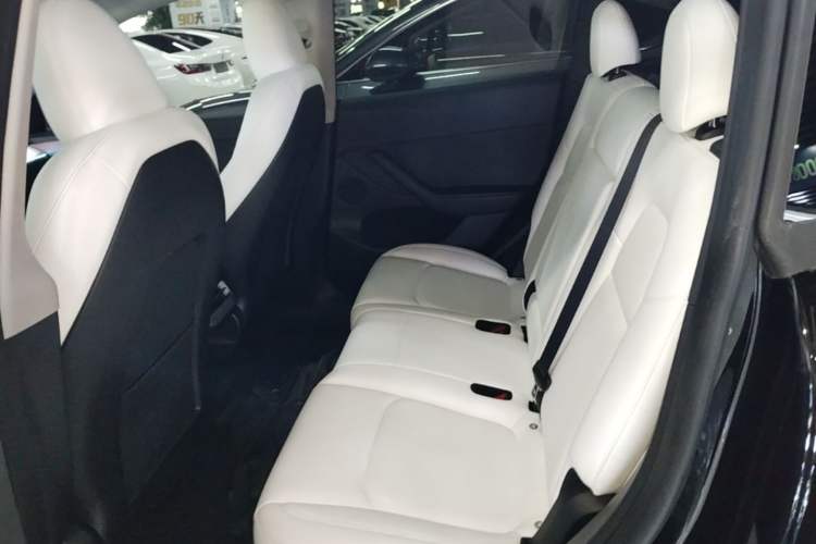 Used Tesla Model Y 2023 Rear-Wheel-Drive Version Left Rear Seat