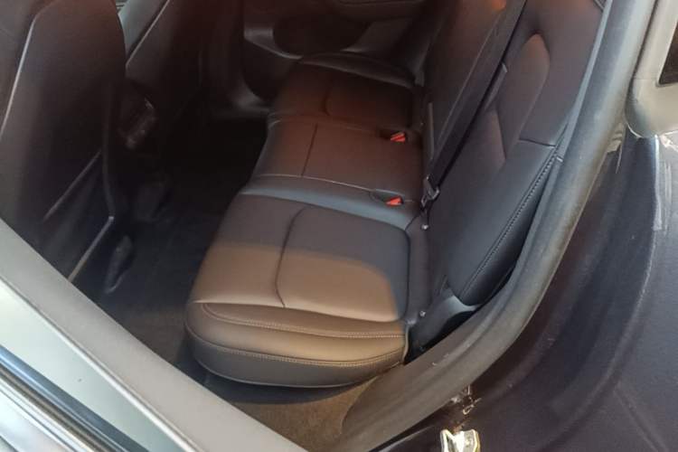 Used Tesla Model Y 2023 Rear-Wheel-Drive Version Left Rear Seat