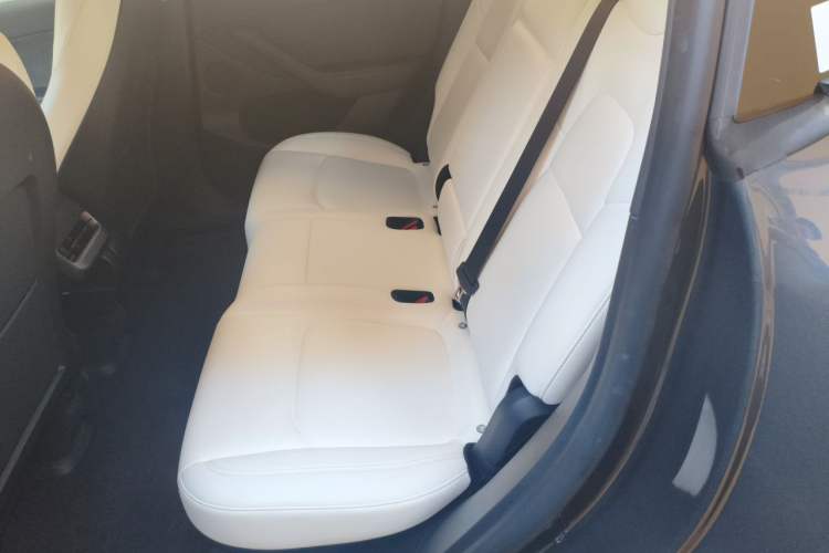 Used Tesla Model Y 2023 Long-Range All-Wheel-Drive Version Left Rear Seat