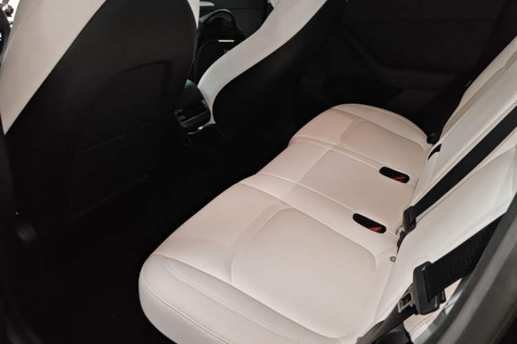Used Tesla Model Y 2023 High-Performance All-Wheel-Drive Version Left Rear Seat