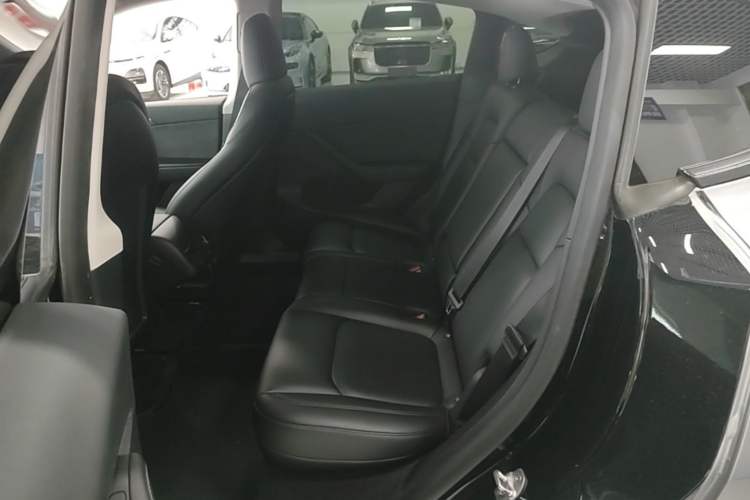 Used Tesla Model Y 2023 Rear-Wheel-Drive Version Left Rear Seat