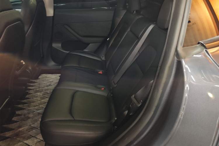 Used Tesla Model Y 2023 Rear-Wheel-Drive Version Left Rear Seat