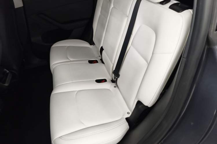 Used Tesla Model Y 2023 Long-Range All-Wheel-Drive Version Left Rear Seat