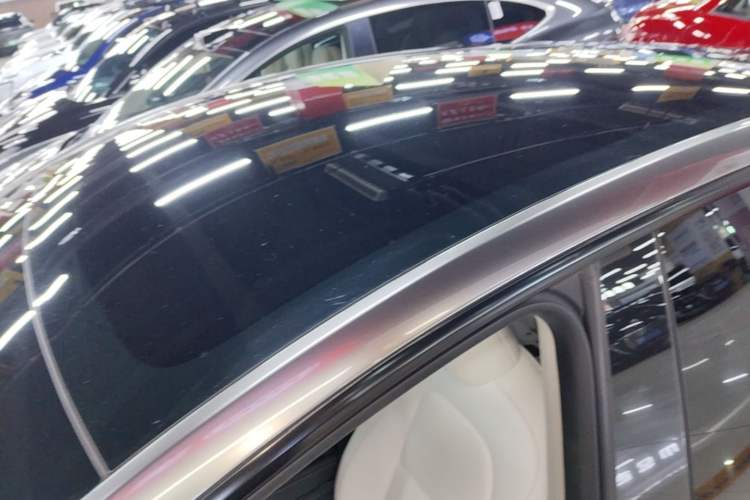 Used Tesla Model Y 2023 Rear-Wheel-Drive Version Roof