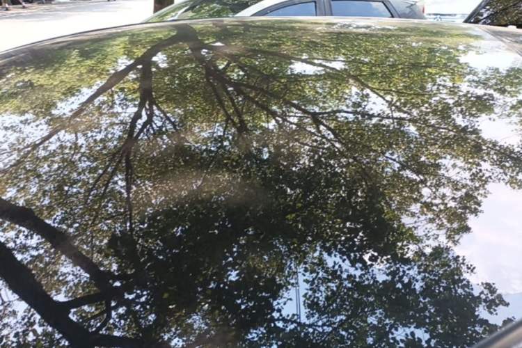 Used Tesla Model Y 2023 Rear-Wheel-Drive Version Roof