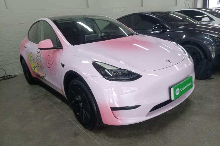 Used Tesla Model Y 2023 Rear-Wheel-Drive Version Exterior 1