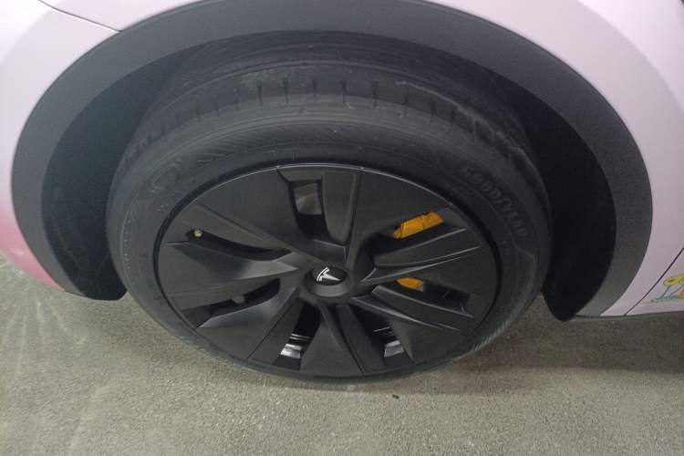 Used Tesla Model Y 2023 Rear-Wheel-Drive Version Exterior 4