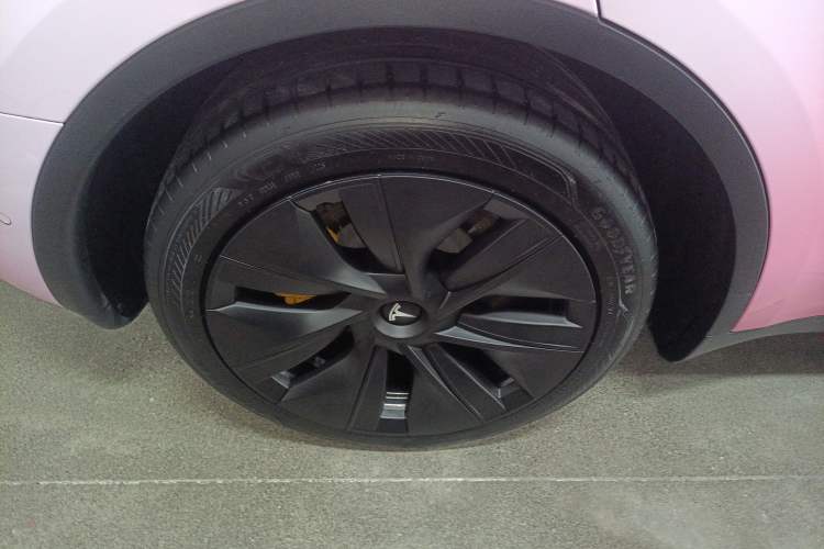 Used Tesla Model Y 2023 Rear-Wheel-Drive Version Exterior 5