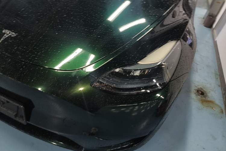Used Tesla Model Y 2023 Rear-Wheel-Drive Version Left Front Headlight
