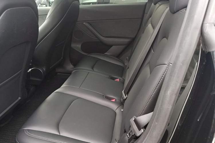 Used Tesla Model Y 2023 Rear-Wheel-Drive Version Left Rear Seat