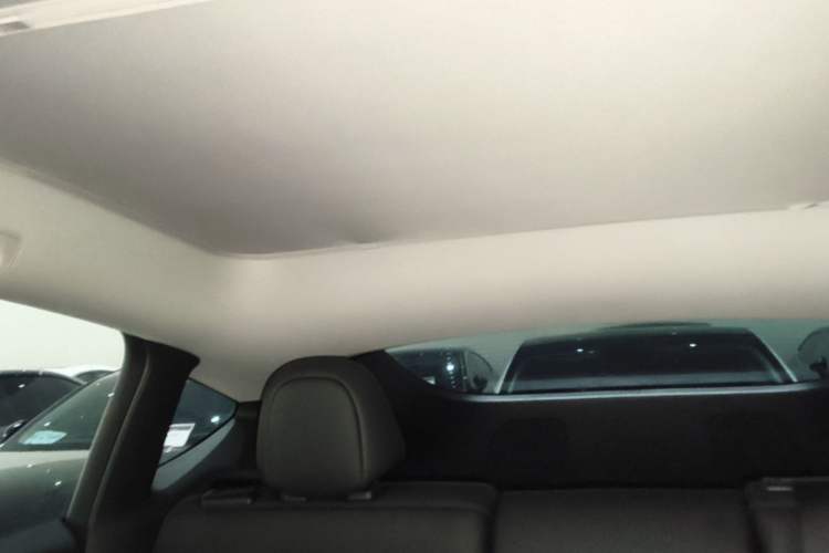 Used Tesla Model Y 2023 Rear-Wheel-Drive Version Headliner
