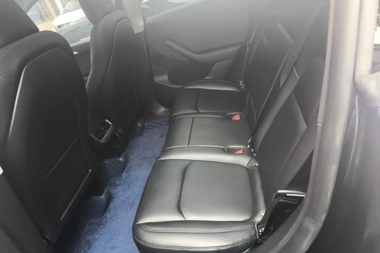Used Tesla Model Y 2023 Rear-Wheel-Drive Version Left Rear Seat