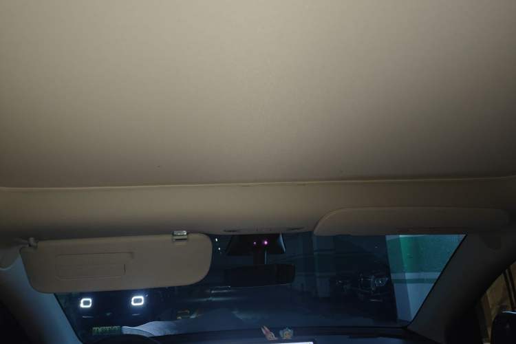 Used Tesla Model Y 2023 Long-Range All-Wheel-Drive Version Headliner