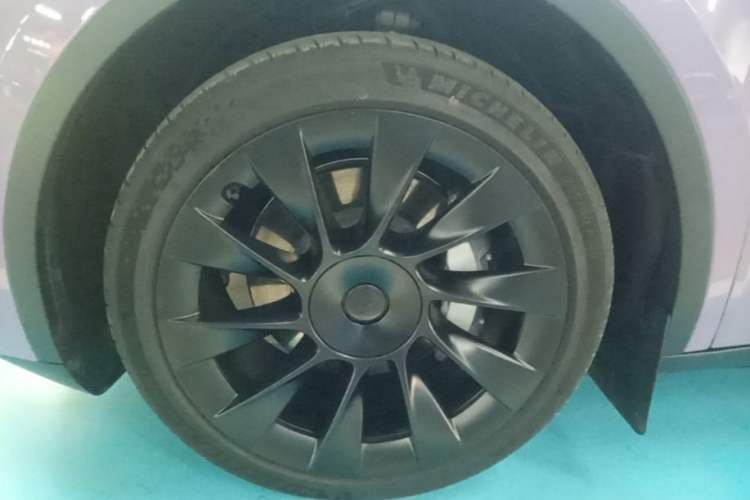 Used Tesla Model Y 2023 Rear-Wheel-Drive Version Exterior 4