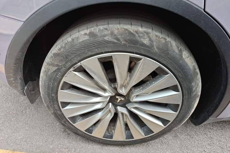 Used Tesla Model Y 2023 Rear-Wheel-Drive Version Exterior 5