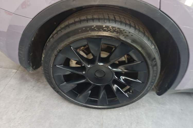 Used Tesla Model Y 2023 Rear-Wheel-Drive Version Exterior 5