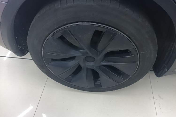 Used Tesla Model Y 2023 Rear-Wheel-Drive Version Exterior 5