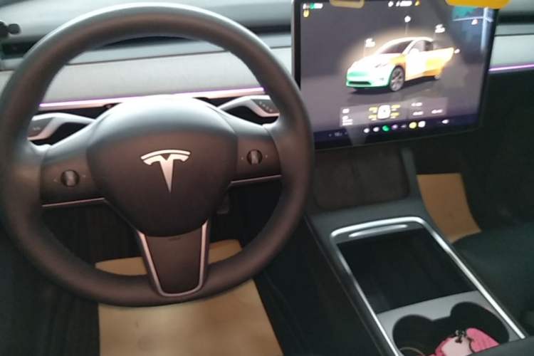 Used Tesla Model Y 2023 Rear-Wheel-Drive Version Gear Lever