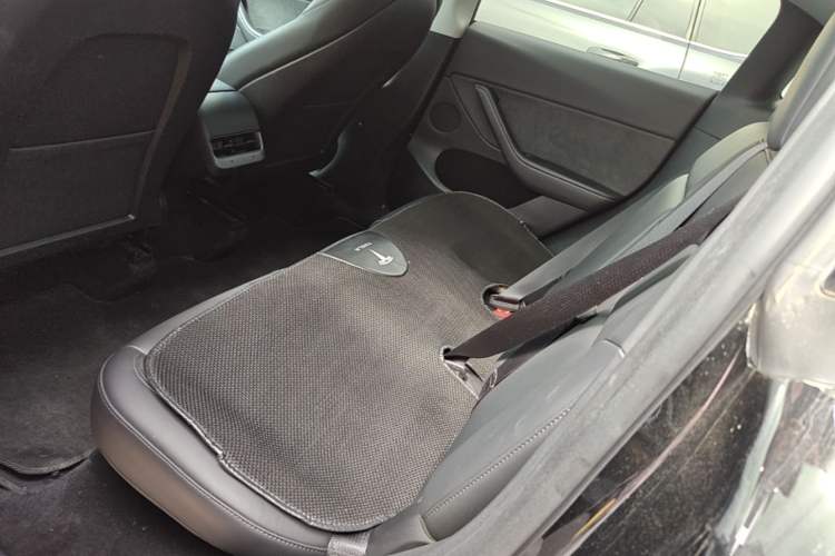 Used Tesla Model Y 2023 Rear-Wheel-Drive Version Left Rear Seat