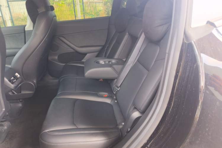 Used Tesla Model Y 2023 Long-Range All-Wheel-Drive Version Left Rear Seat