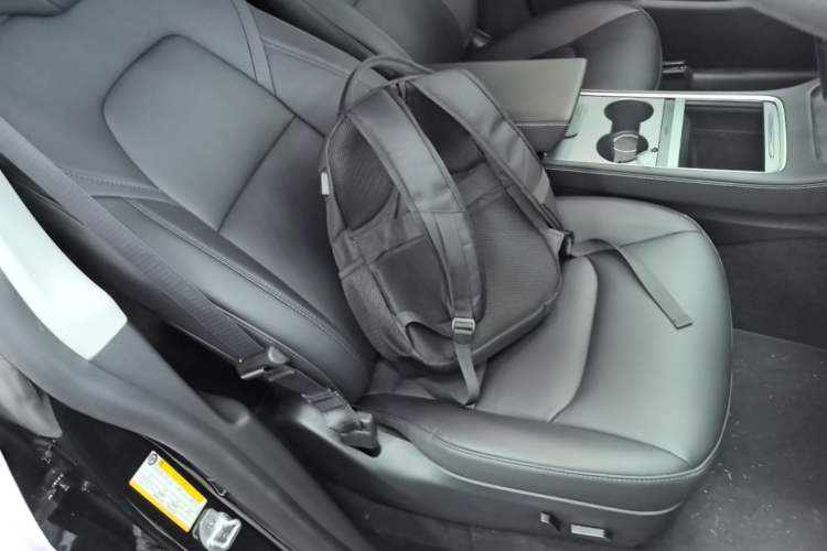 Used Tesla Model Y 2023 High-Performance All-Wheel-Drive Version Right Front Seat