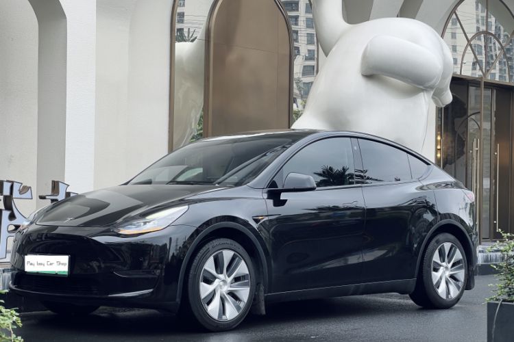 Used Tesla Model Y 2023 Long-Range All-Wheel-Drive Version Exterior 5