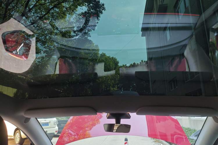 Used Tesla Model Y 2023 High-Performance All-Wheel-Drive Version Headliner