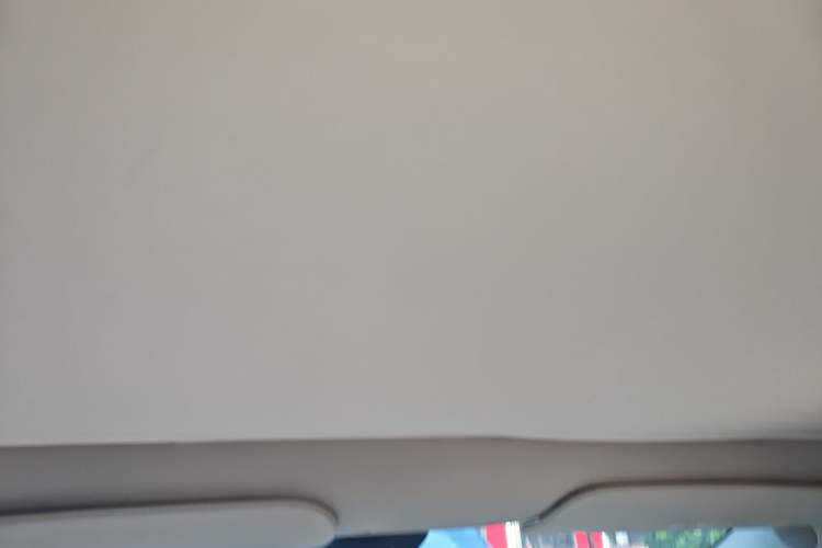 Used Tesla Model Y 2023 Rear-Wheel-Drive Version Headliner