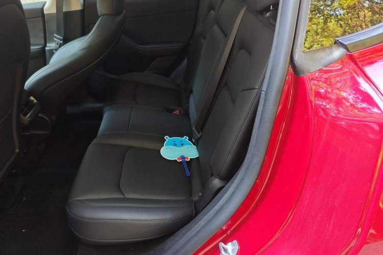 Used Tesla Model Y 2023 High-Performance All-Wheel-Drive Version Left Rear Seat
