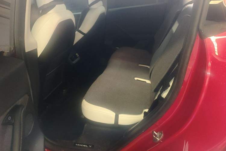 Used Tesla Model Y 2023 Rear-Wheel-Drive Version Left Rear Seat