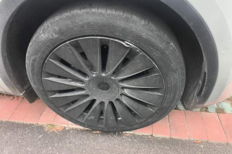 Used Tesla Model Y 2023 Rear-Wheel-Drive Version Exterior 1