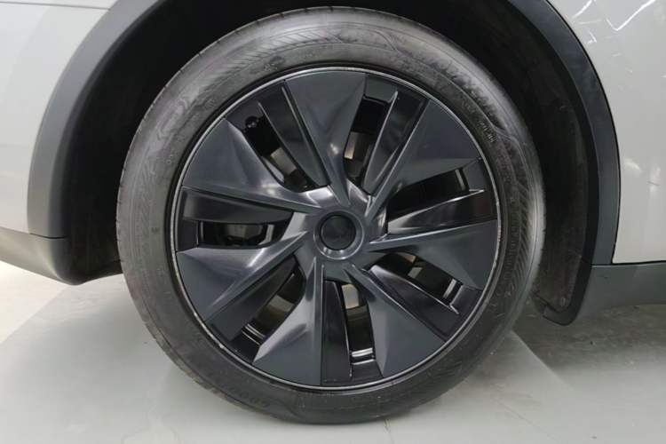 Used Tesla Model Y 2023 Rear-Wheel-Drive Version Exterior 5